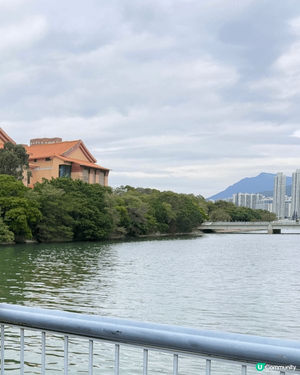 又係辣媽好介紹🤗