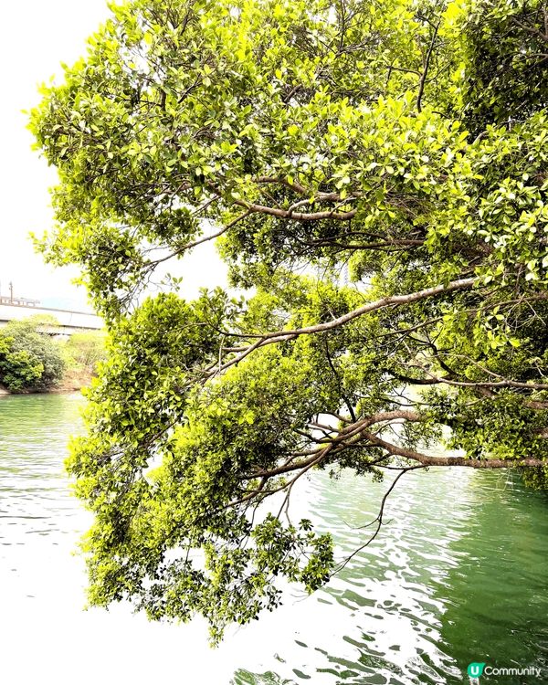 又係辣媽好介紹🤗