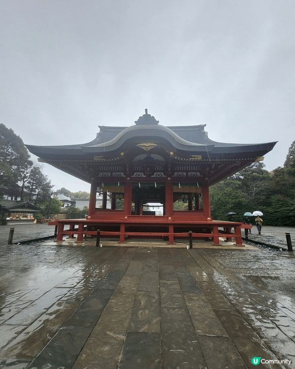 又到櫻花季節，最適合就去日本睇櫻花～