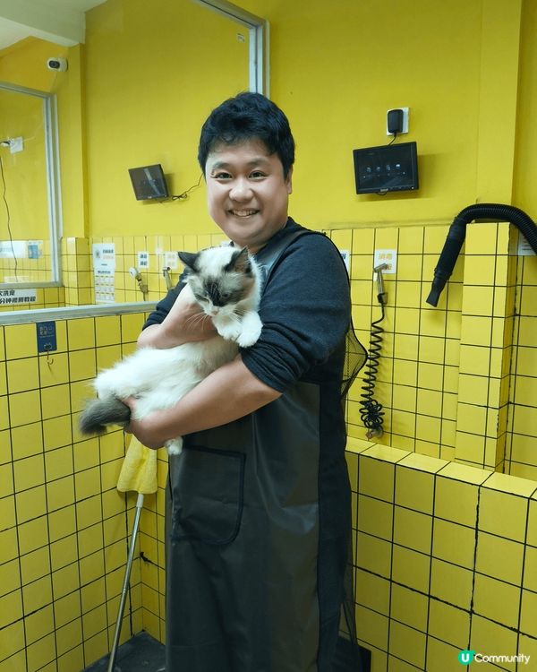 帶上😸豆豆去體驗一下24小時自助洗澡