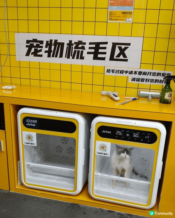 帶上😸豆豆去體驗一下24小時自助洗澡