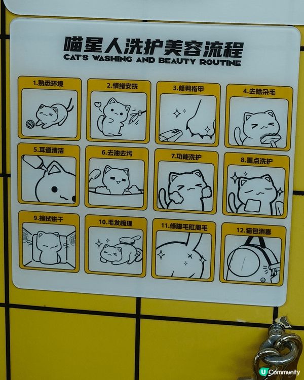 帶上😸豆豆去體驗一下24小時自助洗澡