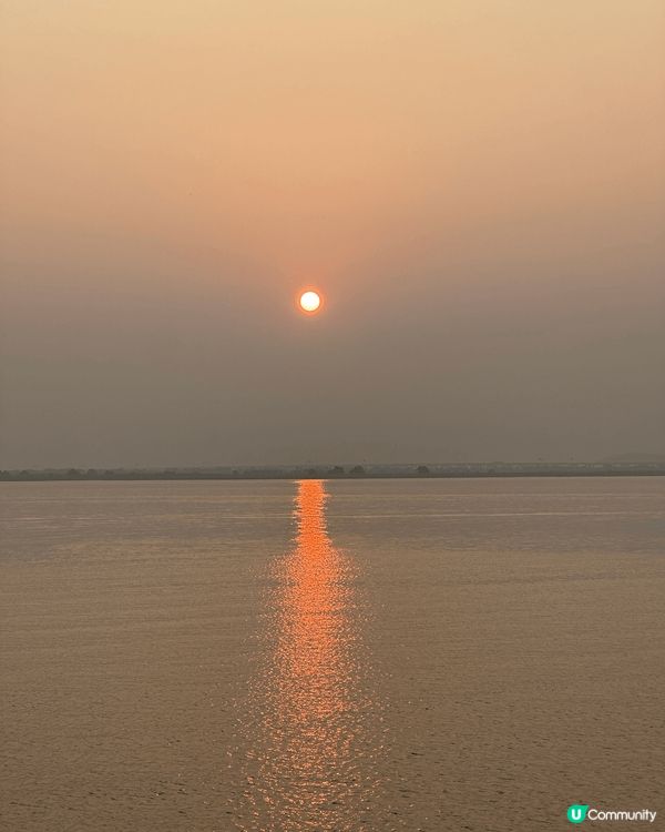 🌟新年第一站，來到珠海橫琴的花海長廊！這裡充滿了浪漫氣息，金...