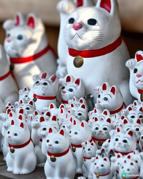 圖片包括東京豪德寺的招財貓、鐮倉長谷寺的繪馬、大阪勝尾寺的達...