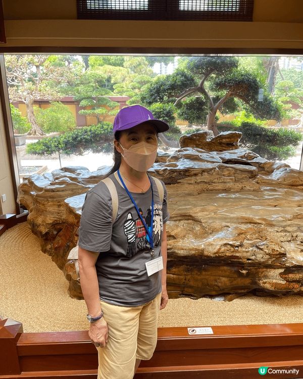 一天遊、之前冇去過呢個地方參加長者中心去參觀，真係令人大開眼...