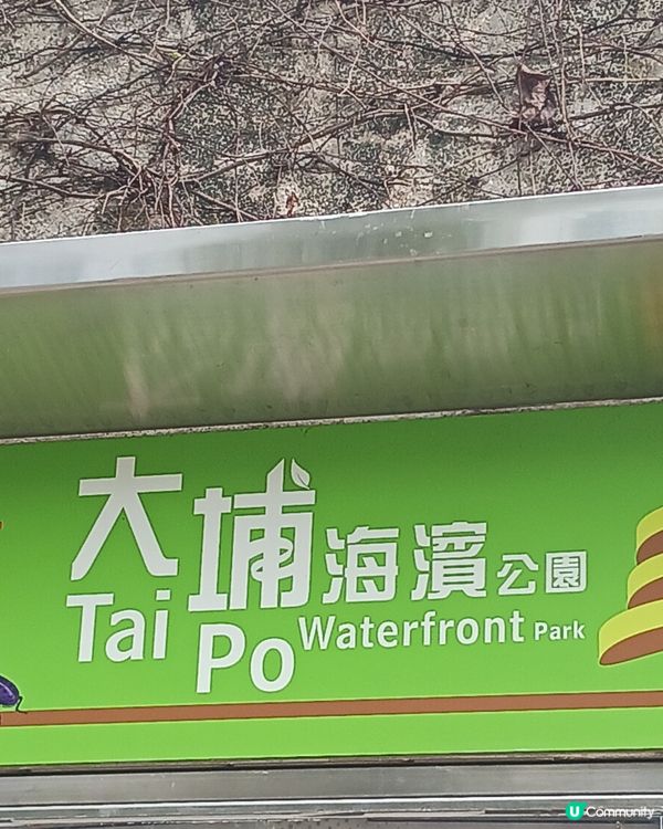 大埔海賓公園散步~