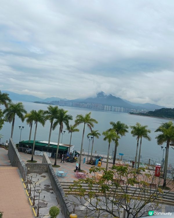 大埔海賓公園散步~