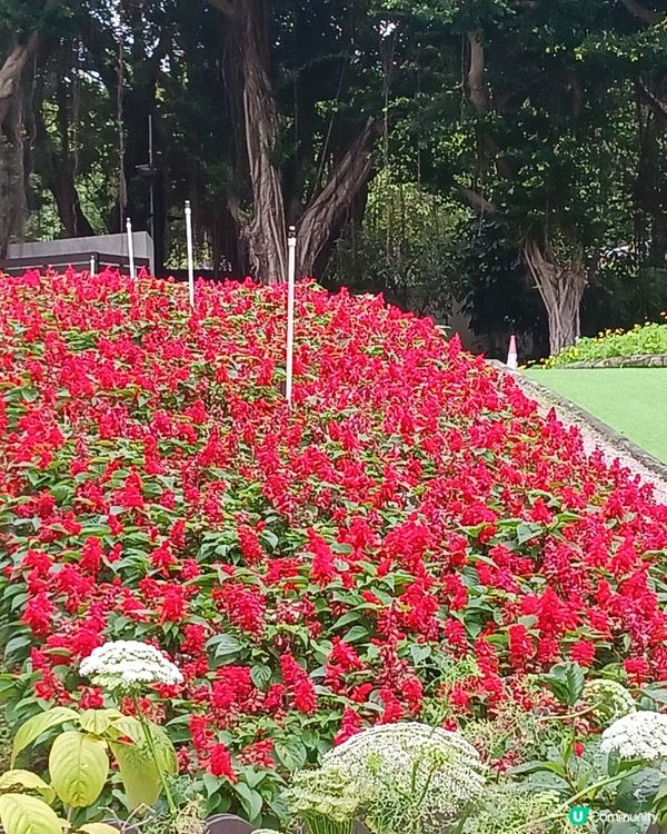 大埔海賓公園散步~