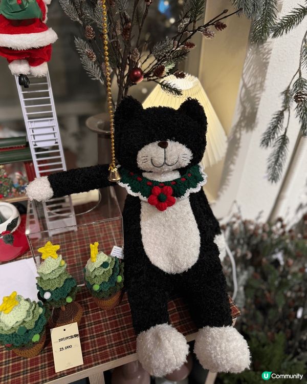 如果去韓國釜山,我會推介去田浦站附近買手信,附近有好多選物店...