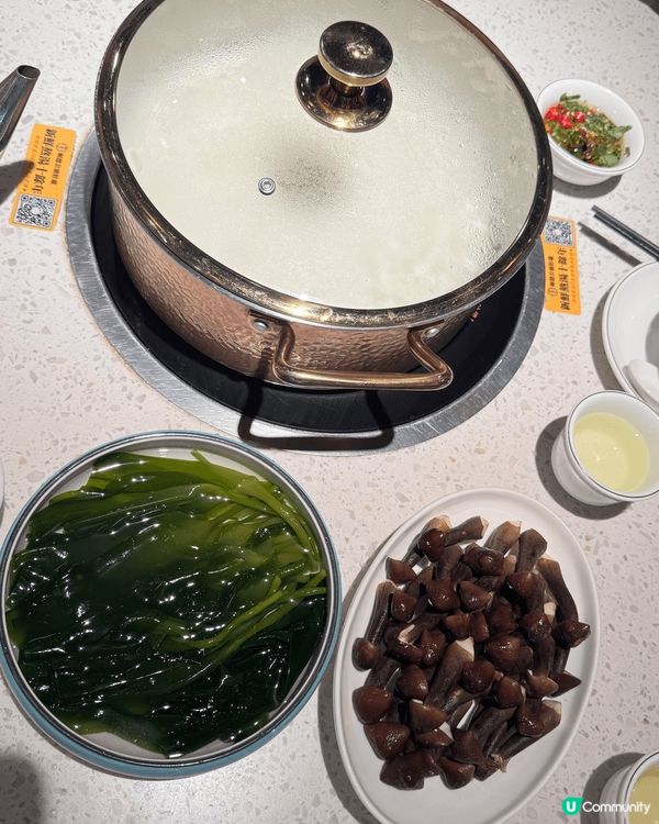 深圳必食順德公豬肚🐔🍲