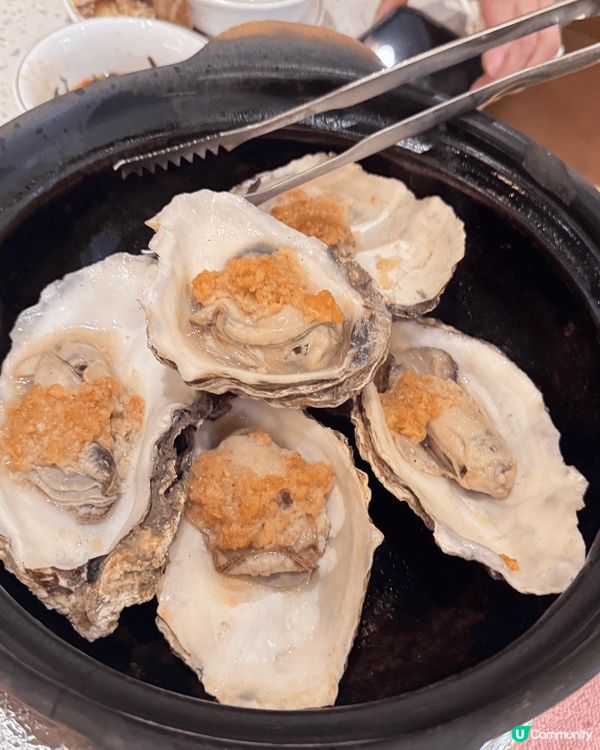 深圳必食順德公豬肚🐔🍲