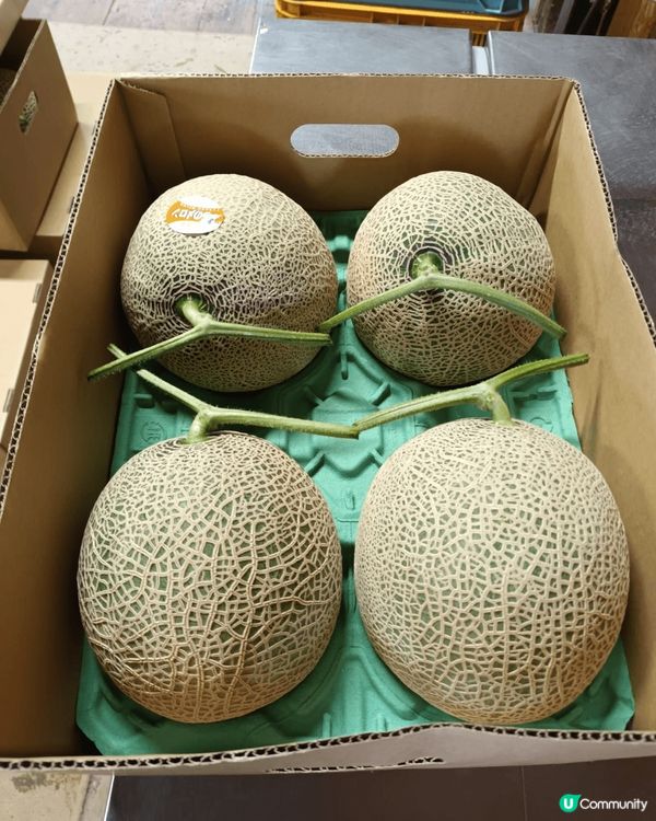 麥牙糖，地方名牌，北海道富良野哈密瓜
