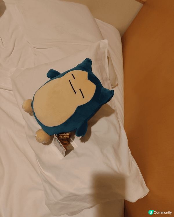 Tokyo Pokémon shop 卡比獸同比卡超同各種類...