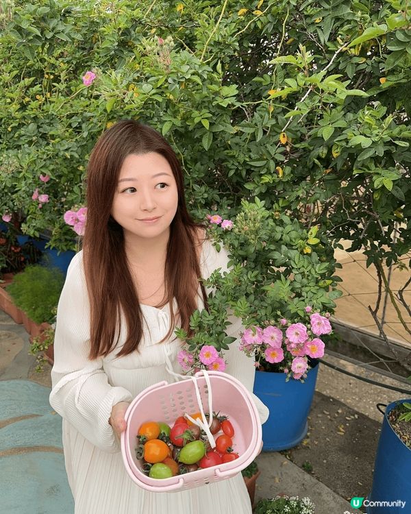 放假同BB入去有心機農場