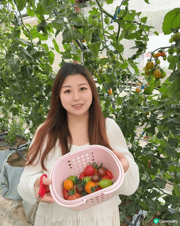 放假同BB入去有心機農場