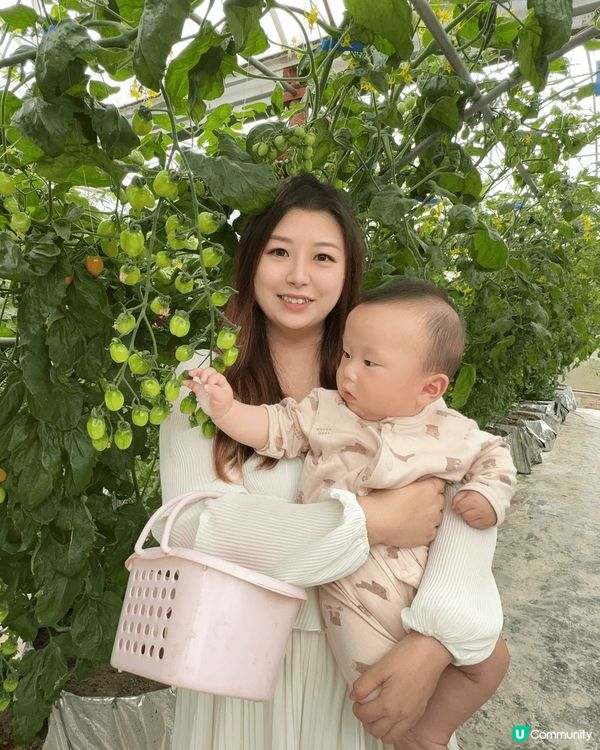 放假同BB入去有心機農場