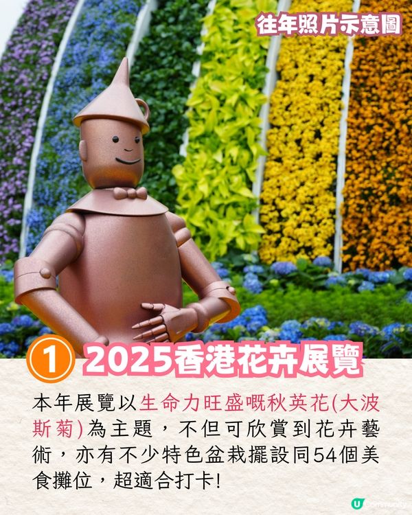 2025香港7大人氣賞花地🌸香港花卉展/東涌櫻花園/黃花風鈴木徑/魚木花教堂❤️附交通方法