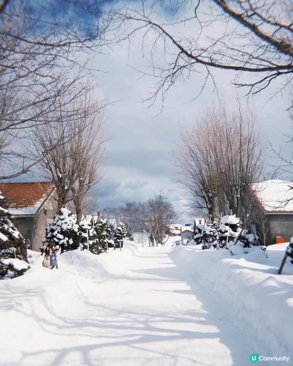 北海道Nikka威士忌余市蒸餾所一日遊😍酒廠嘅建築物都好靚，...