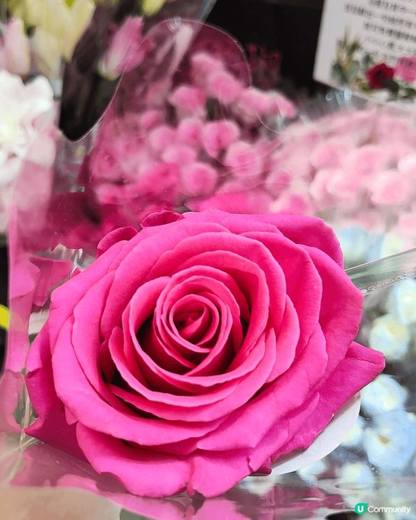 於葵涌廣場內嘅花店花樺，為慶祝八三婦女節，於3月7及8日送上...