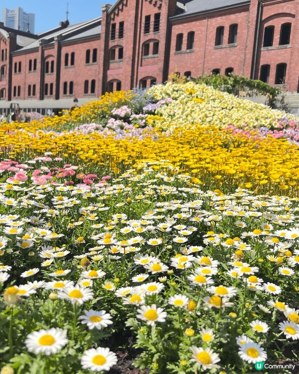 日本橫濱紅磚倉庫（Yokohama Red Brick Wa...