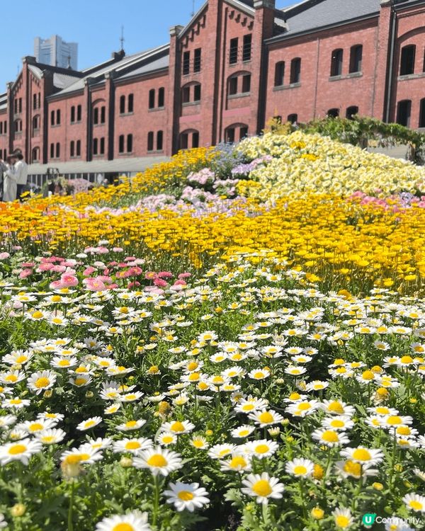 日本橫濱紅磚倉庫（Yokohama Red Brick Wa...