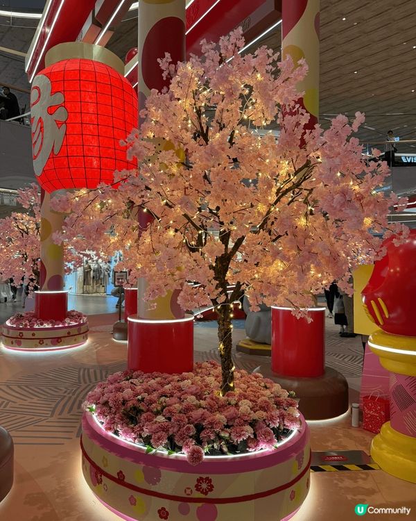 超級可愛嘅招財貓達摩軍團，仲有春季打卡主角櫻花樹，出現起東涌...