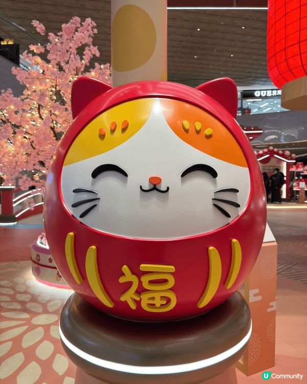 超級可愛嘅招財貓達摩軍團，仲有春季打卡主角櫻花樹，出現起東涌...