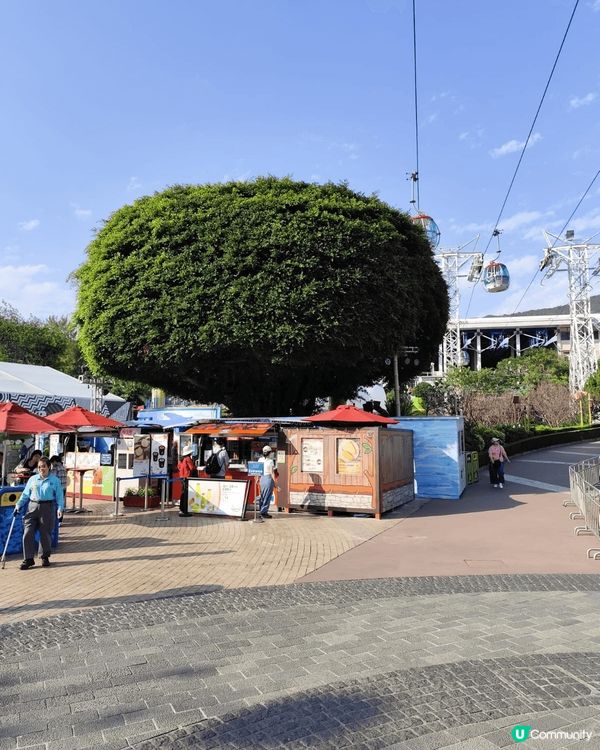 # 旅行都要先乳後水# 打卡熱點推介# 打卡靚相