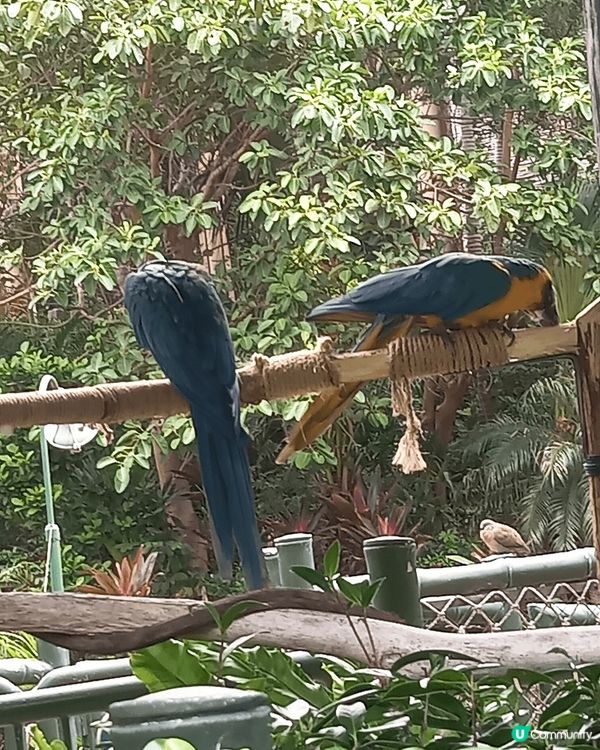 # 旅行都要先乳後水# 打卡熱點推介# 打卡靚相