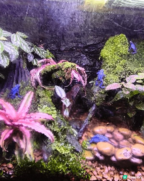 # 旅行都要先乳後水# 打卡熱點推介# 打卡靚相