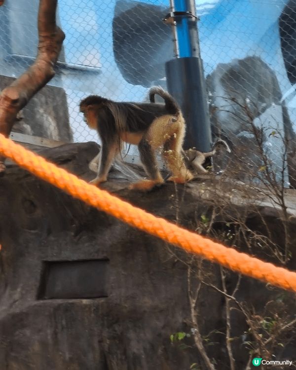 # 旅行都要先乳後水# 打卡熱點推介# 打卡靚相