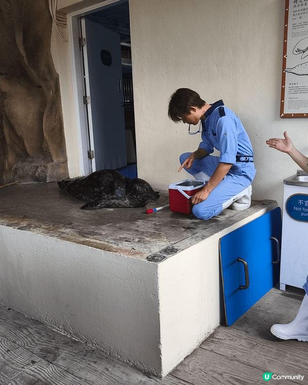 # 旅行都要先乳後水# 打卡熱點推介# 打卡靚相