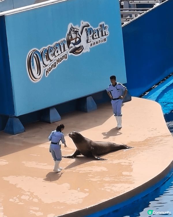 # 旅行都要先乳後水# 打卡熱點推介# 打卡靚相