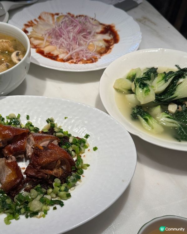 奧海城，新開張綠茶