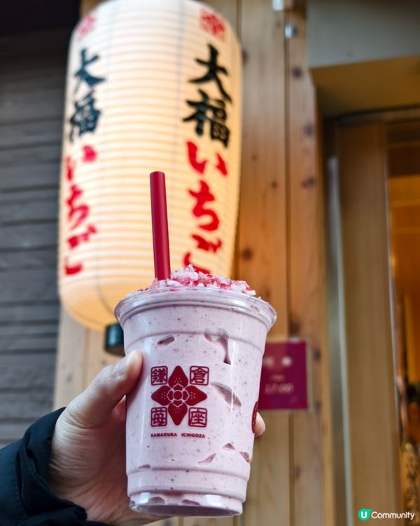 鐮倉小町通，必食咖哩包