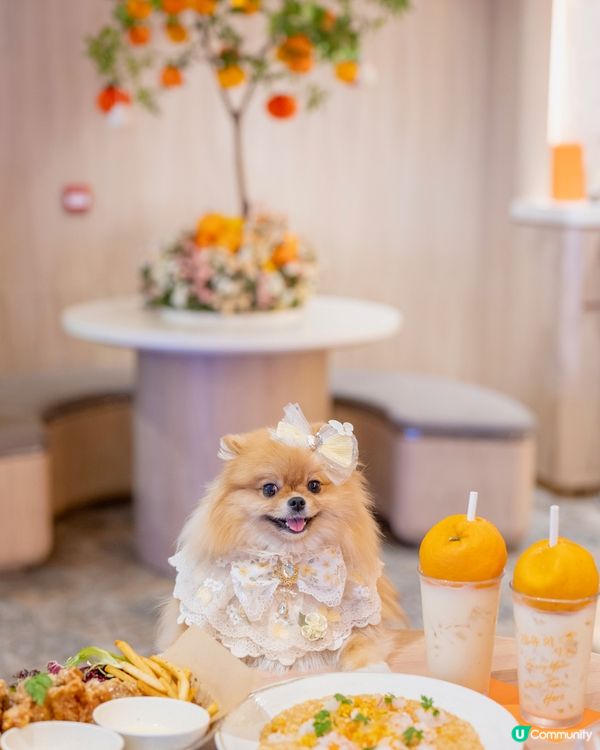 又一城柑橘主題餐廳🍊 必食開心果蜜糖窩夫🧇