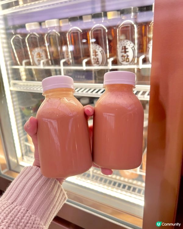 任食大頭蝦火鍋🍲