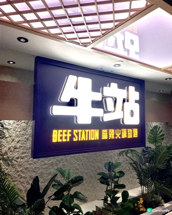 任食大頭蝦火鍋🍲