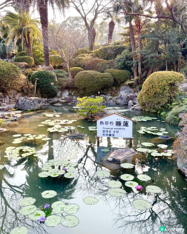 📍別府 - 海地獄