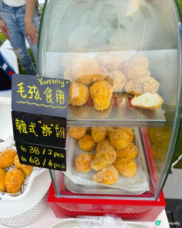 ✨ 小檔主初體驗!寵物慈善嘉年華 🐶🎪 ✨