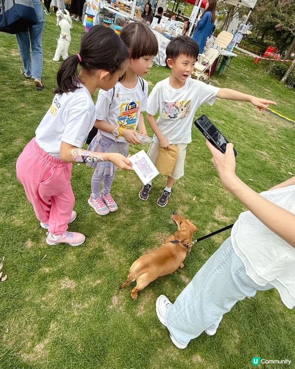 ✨ 小檔主初體驗!寵物慈善嘉年華 🐶🎪 ✨