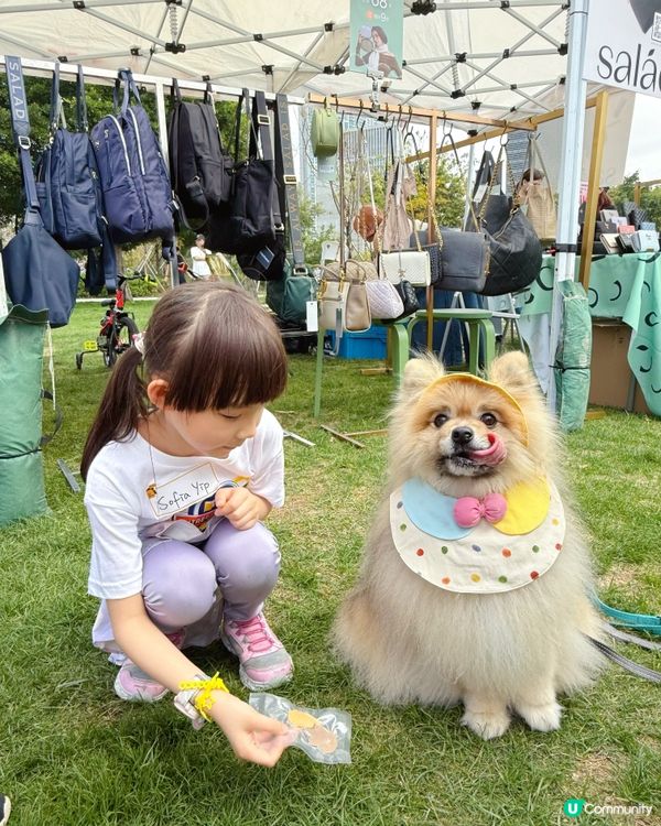 ✨ 小檔主初體驗!寵物慈善嘉年華 🐶🎪 ✨