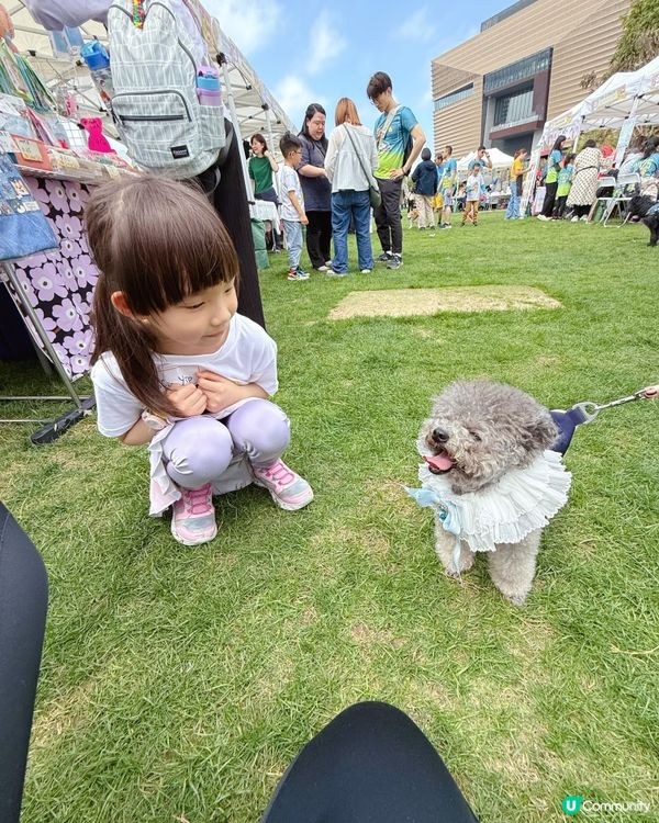 ✨ 小檔主初體驗!寵物慈善嘉年華 🐶🎪 ✨