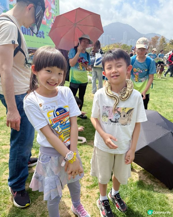 ✨ 小檔主初體驗!寵物慈善嘉年華 🐶🎪 ✨