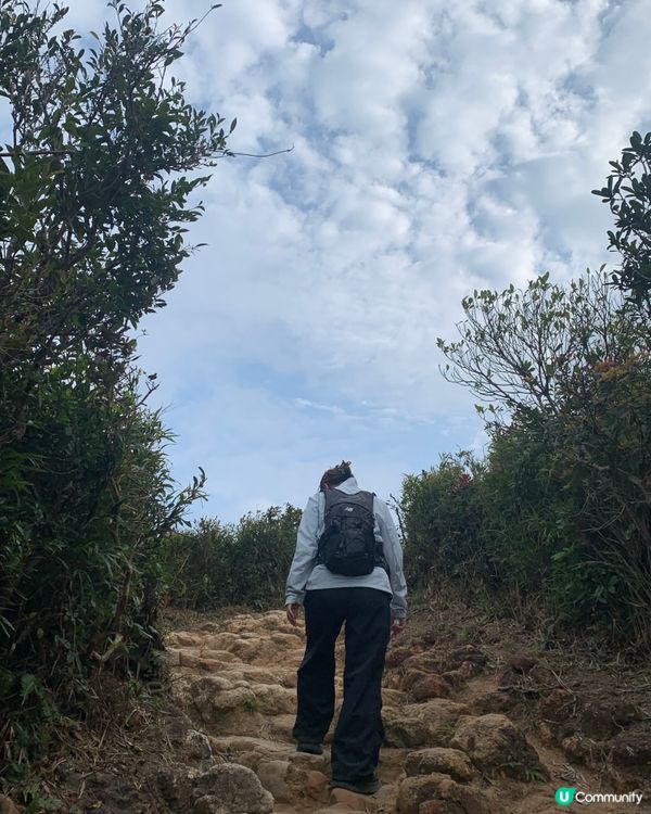 🐲解鎖龍脊-港島行山一日遊🐉