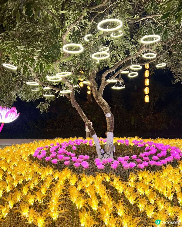 珠海嘅❣︎唐家古鎮❣︎攪嘅燈會真係超靚😍啲燈飾仲識郁架🤩🤩🤩...