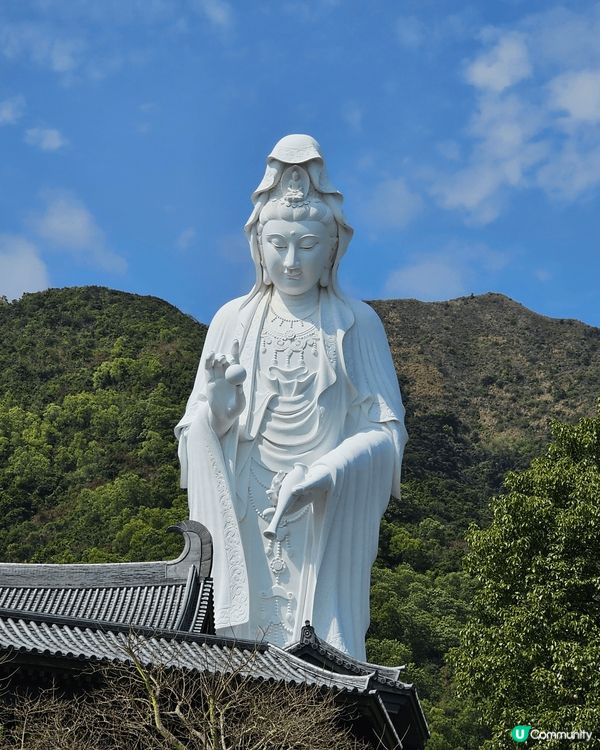 我想介紹一下慈山寺，平日可以網上預約參學，仲可以食免費下午茶...