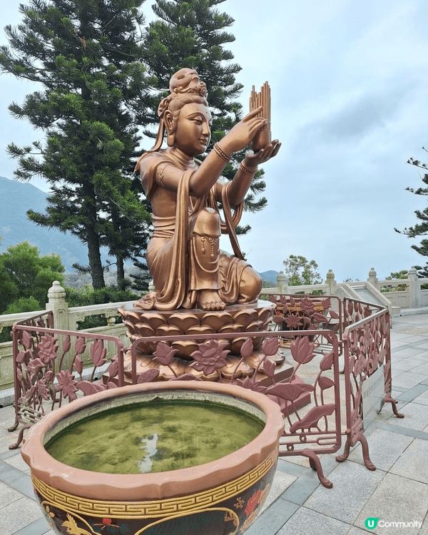 今次去大嶼山睇大佛同埋食素食，被大佛莊嚴的容貌震攝，我們也太...