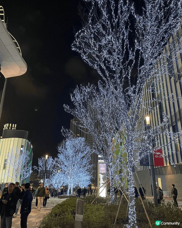 新開幕的啟德體育園裝修十分輝煌，燈飾亦很美，很像日本的六本木...