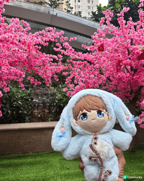 打卡時好多想到特別的地方，其實只要多留意身邊周圍，要找靚的打...